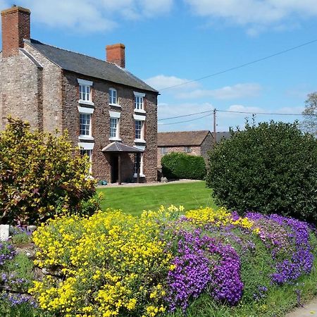 Upper Eyton Farmhouse B&B Alberbury Kültér fotó