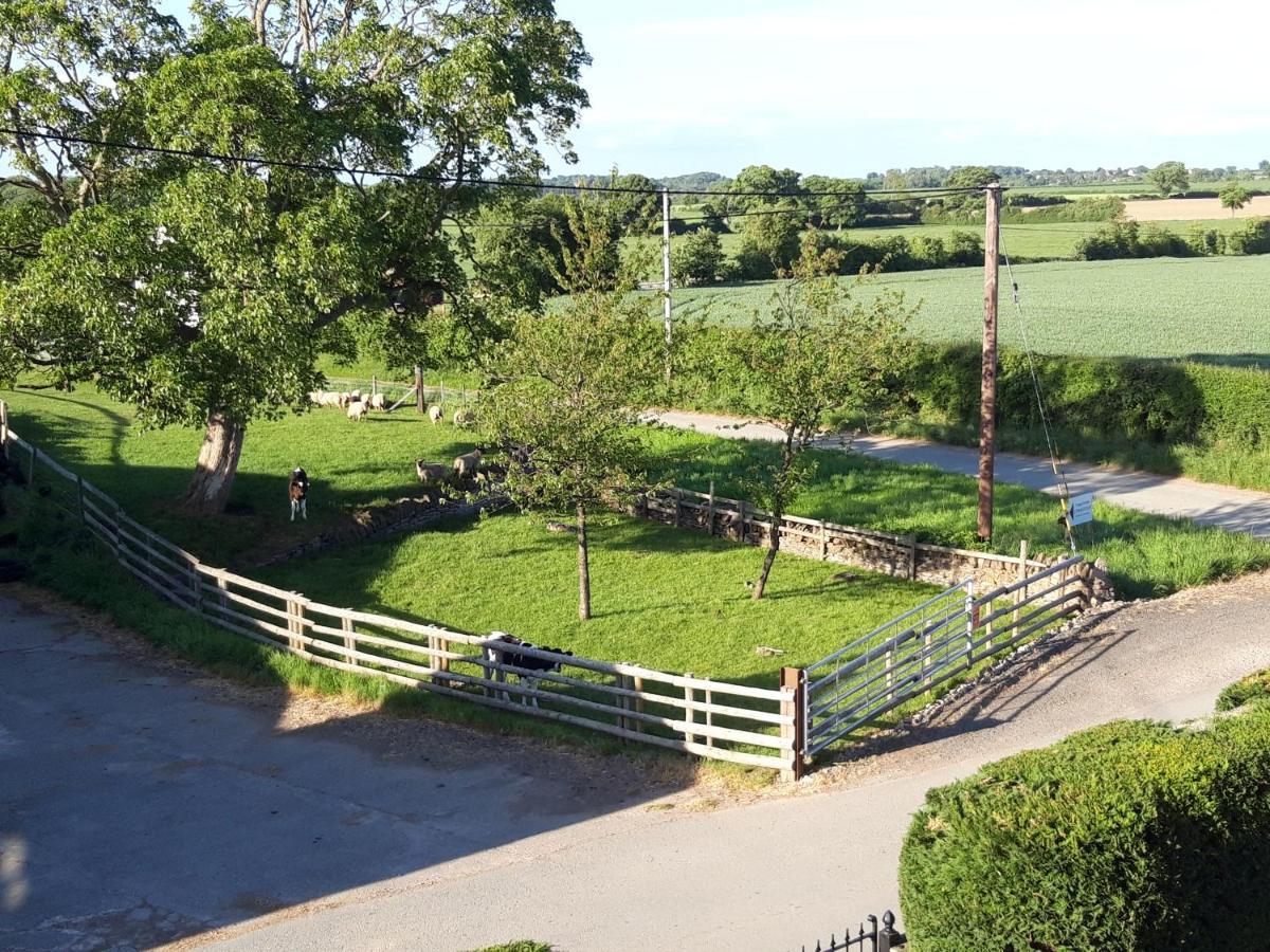 Upper Eyton Farmhouse B&B Alberbury Kültér fotó